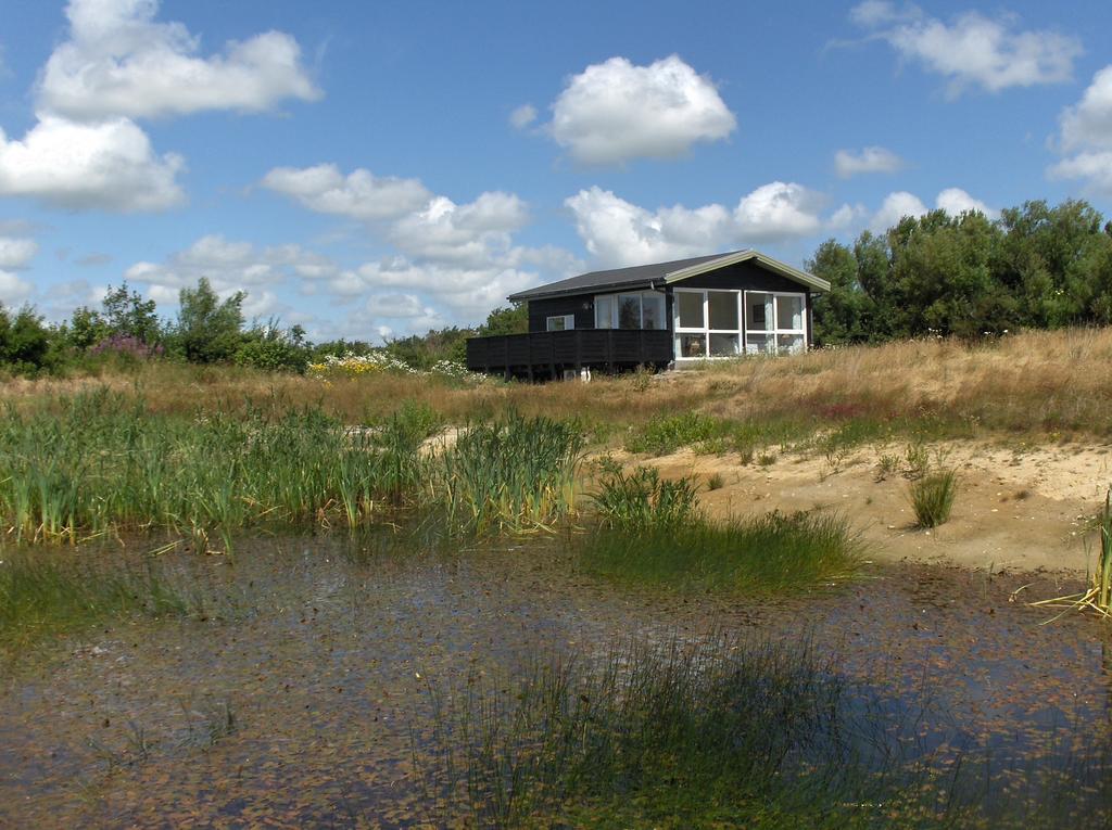Axelgaard Nature Suite Hennebjerg Rum bild